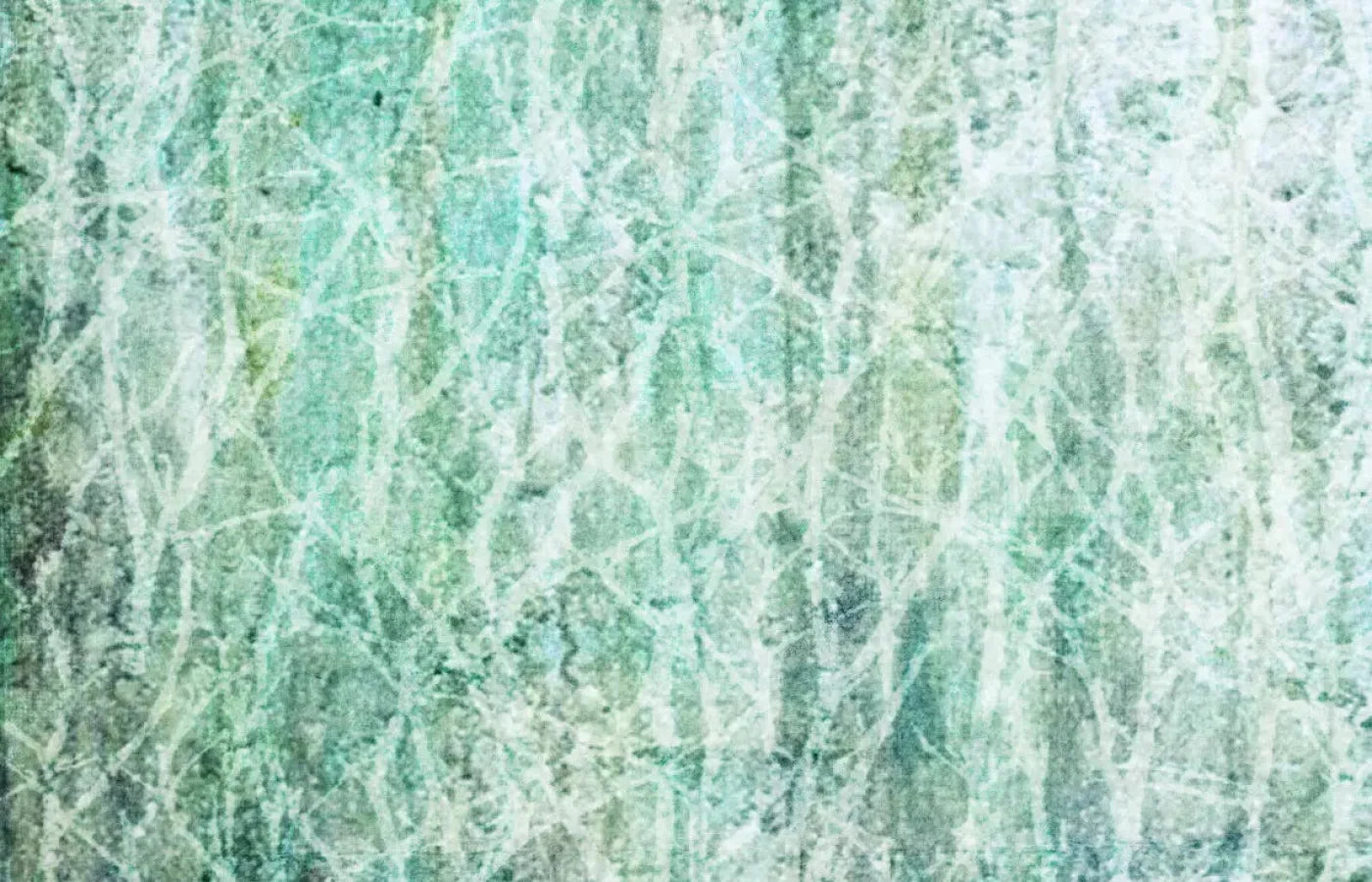 Decline 12X8 Ultracloth ( 144 X 96 Inch ) Backdrop