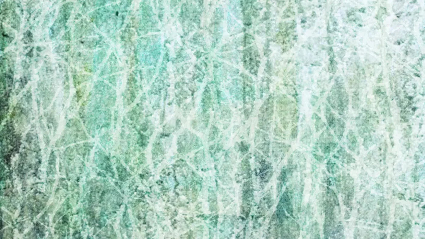 Decline 14X8 Ultracloth ( 168 X 96 Inch ) Backdrop