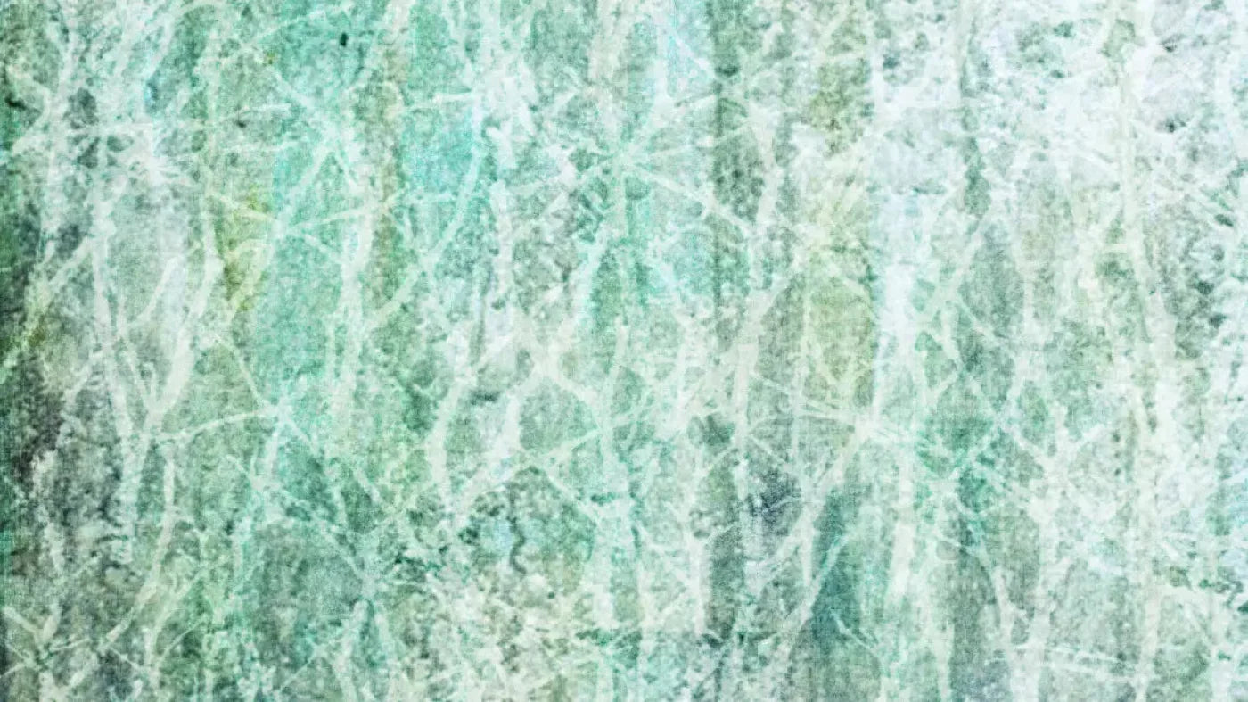 Decline 14X8 Ultracloth ( 168 X 96 Inch ) Backdrop