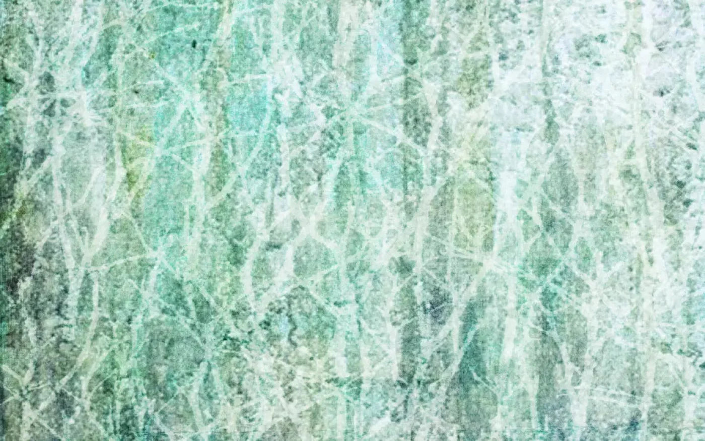 Decline 14X9 Ultracloth ( 168 X 108 Inch ) Backdrop