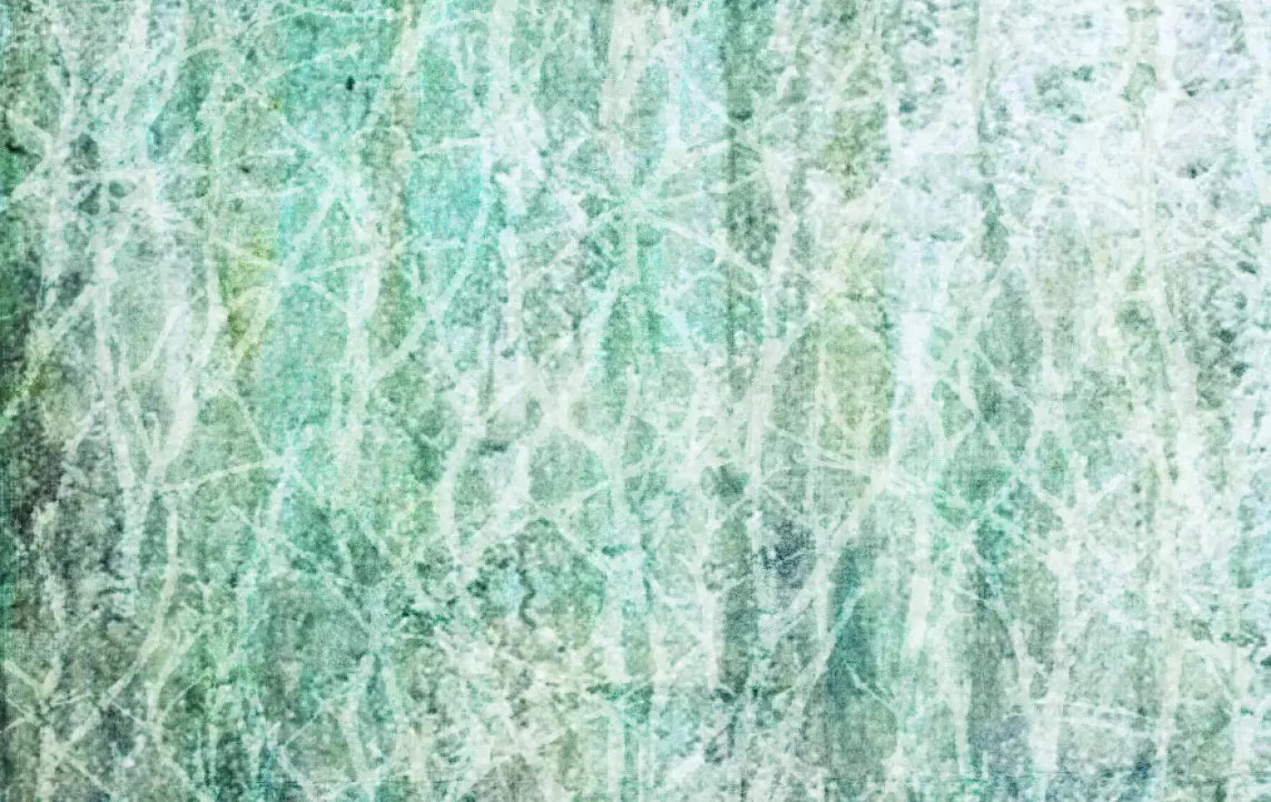 Decline 16X10 Ultracloth ( 192 X 120 Inch ) Backdrop