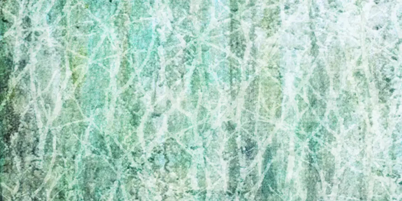 Decline 20X10 Ultracloth ( 240 X 120 Inch ) Backdrop