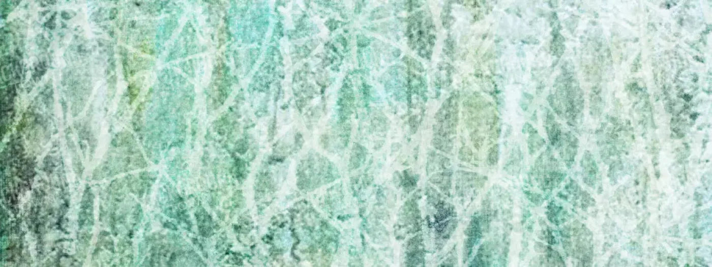 Decline 20X8 Ultracloth ( 240 X 96 Inch ) Backdrop