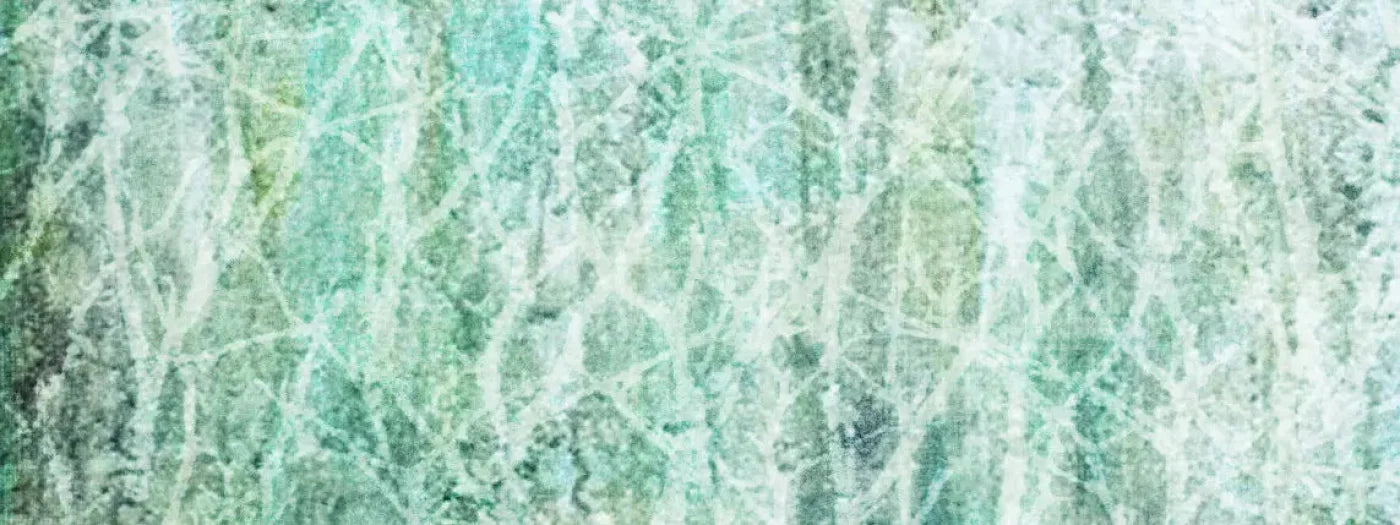 Decline 20X8 Ultracloth ( 240 X 96 Inch ) Backdrop