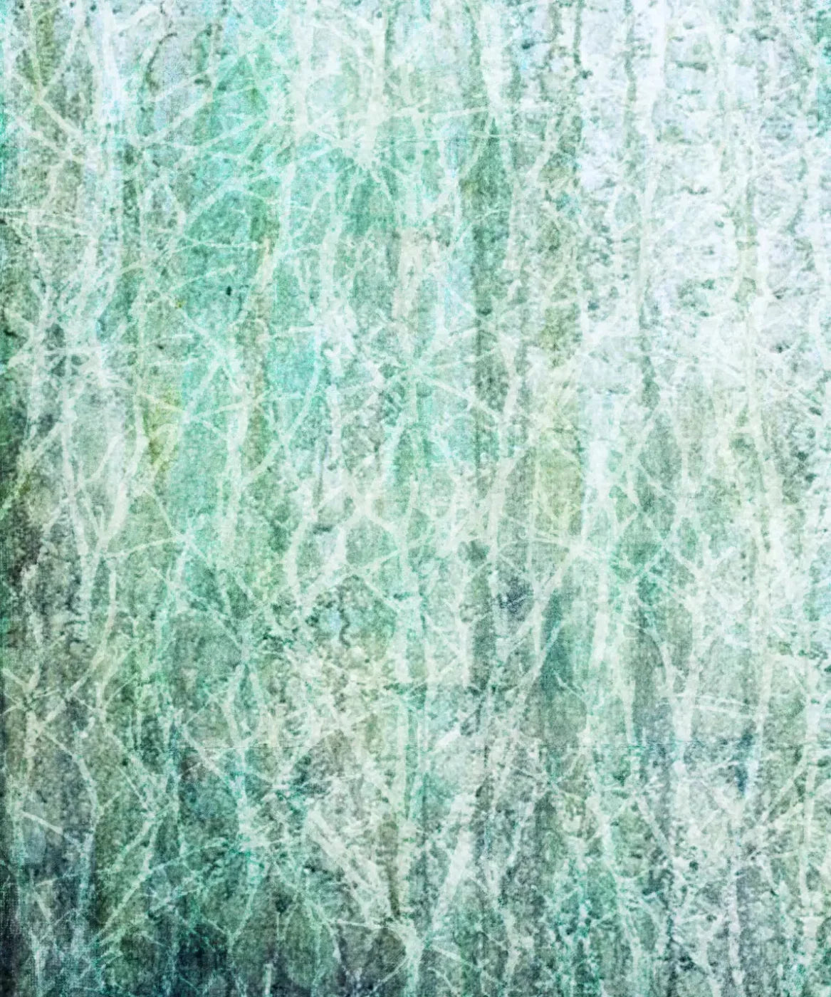 Green Urban Grunge Backdrop for Photography