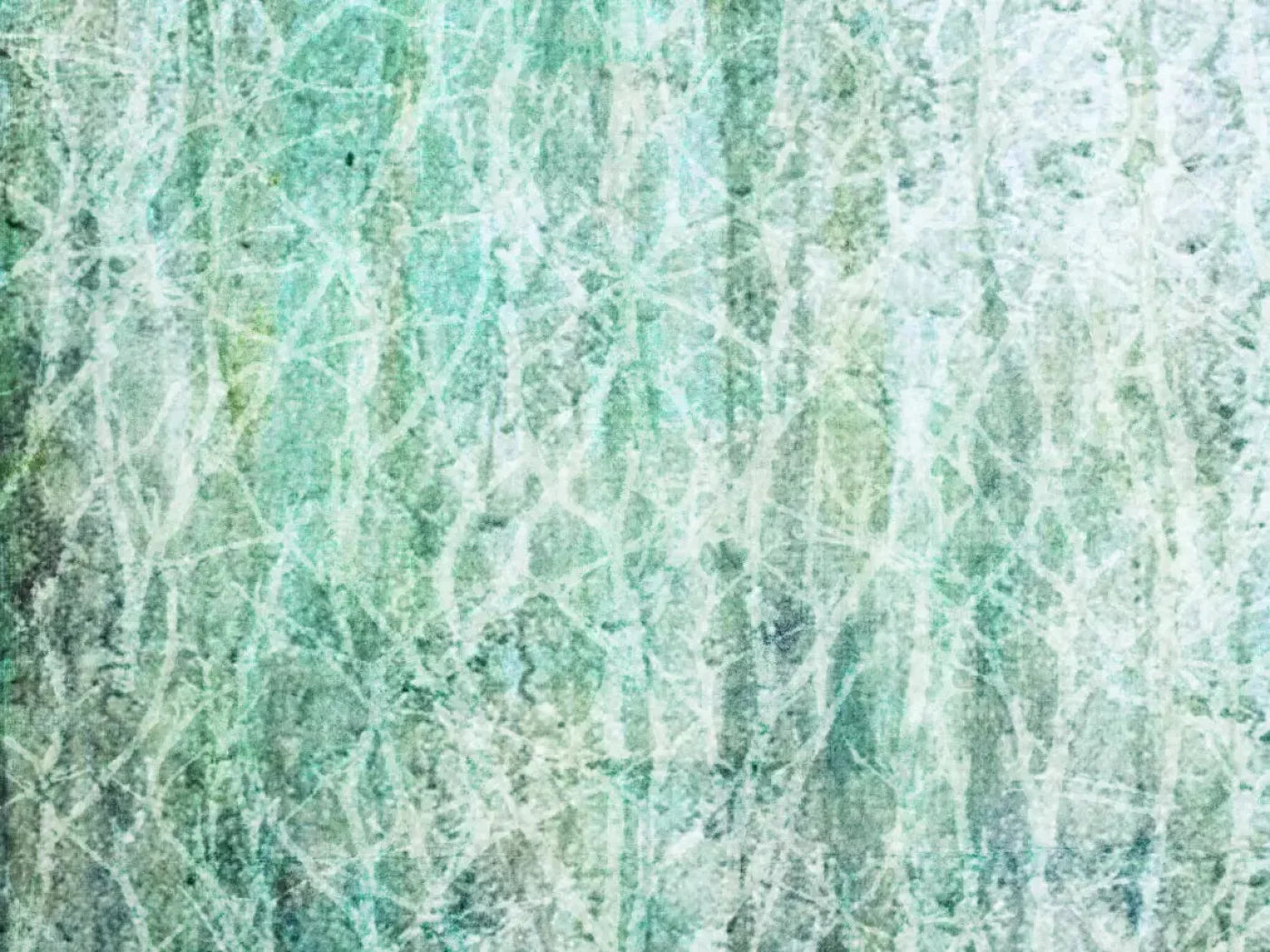 Decline 68X5 Fleece ( 80 X 60 Inch ) Backdrop