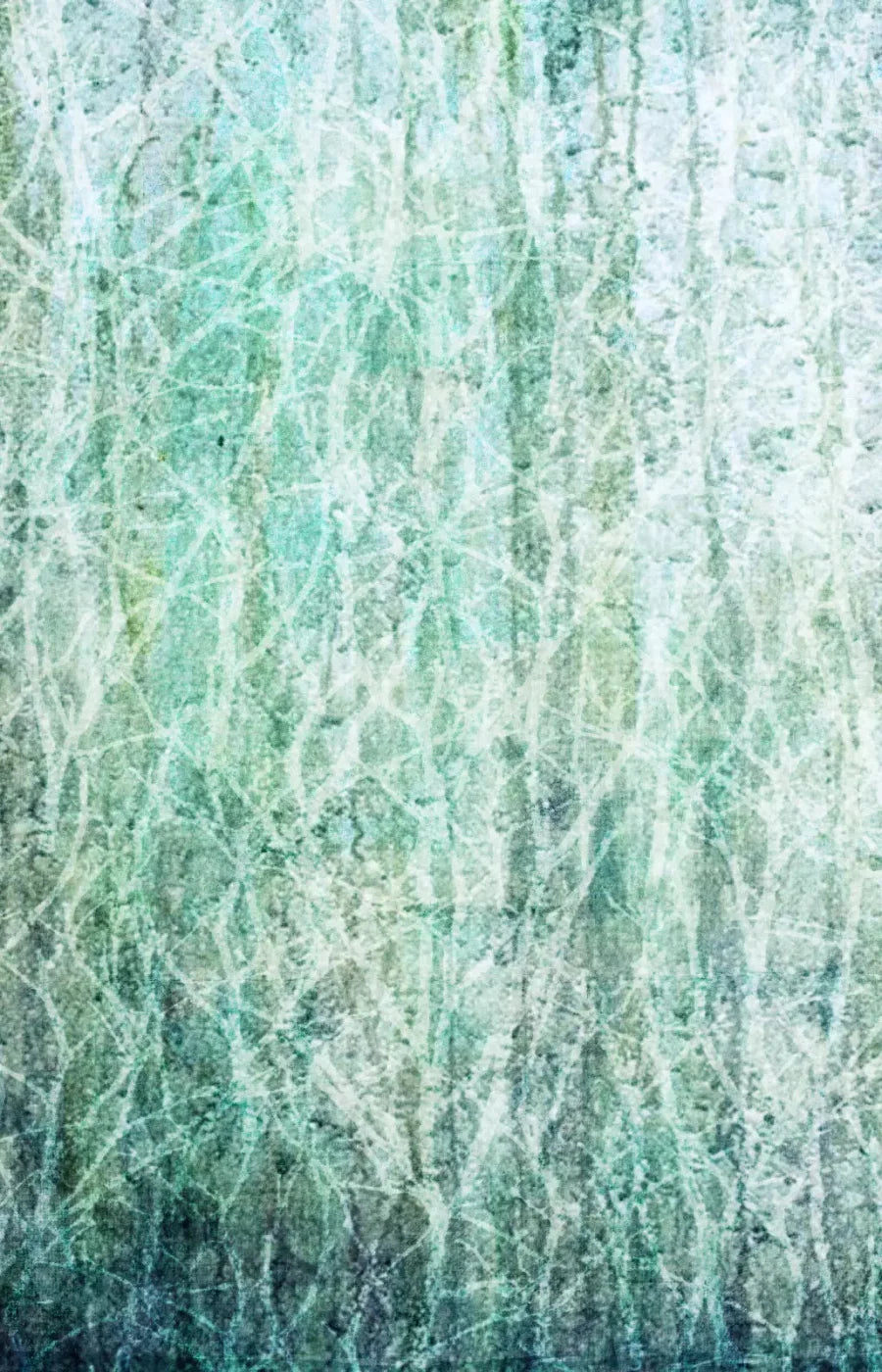 Decline 8X12 Ultracloth ( 96 X 144 Inch ) Backdrop