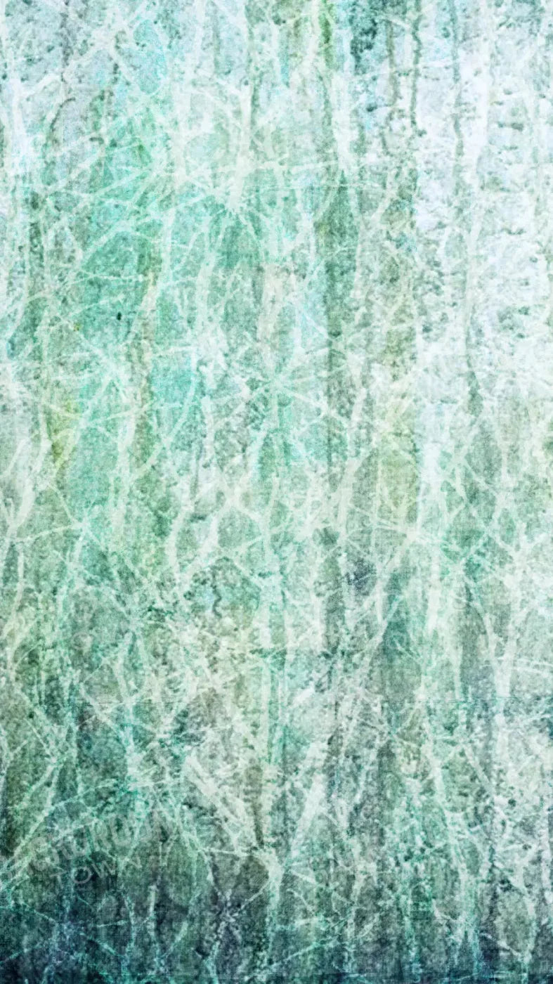 Decline 8X14 Ultracloth ( 96 X 168 Inch ) Backdrop