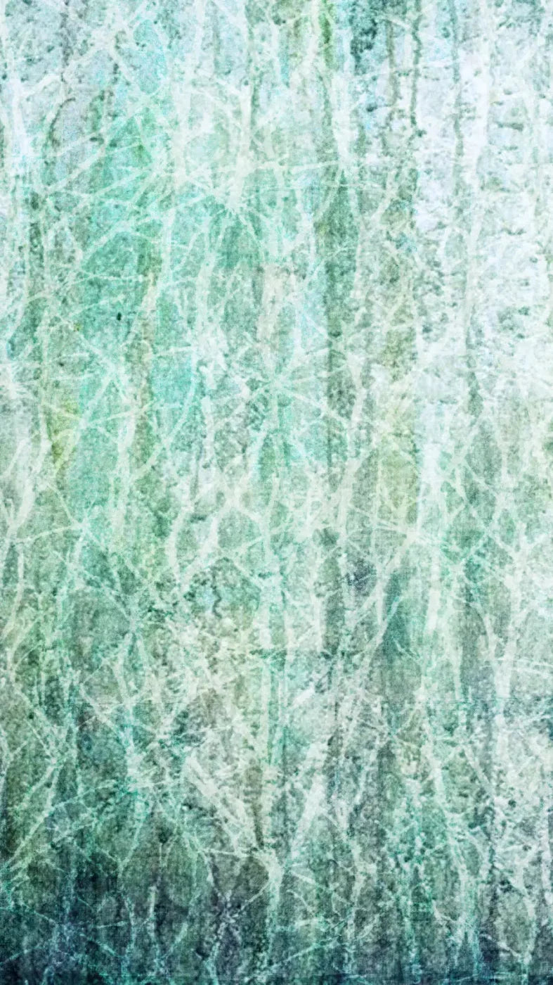 Decline 8X14 Ultracloth ( 96 X 168 Inch ) Backdrop