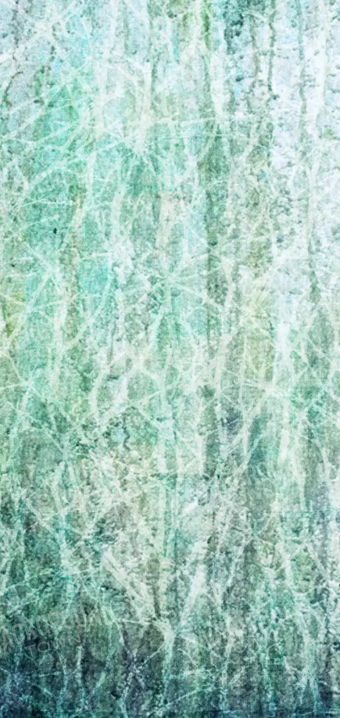 Decline 8X16 Ultracloth ( 96 X 192 Inch ) Backdrop