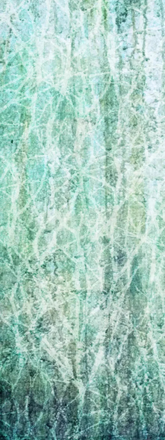 Decline 8X20 Ultracloth ( 96 X 240 Inch ) Backdrop
