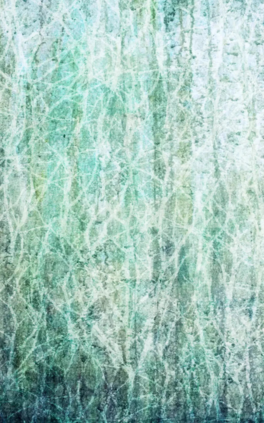 Decline 9X14 Ultracloth ( 108 X 168 Inch ) Backdrop