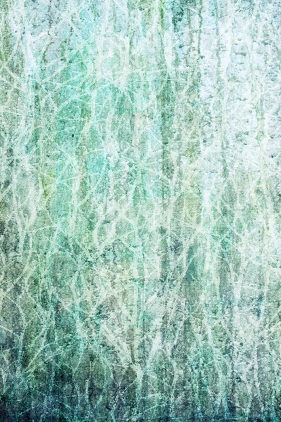 Decline Backdrop