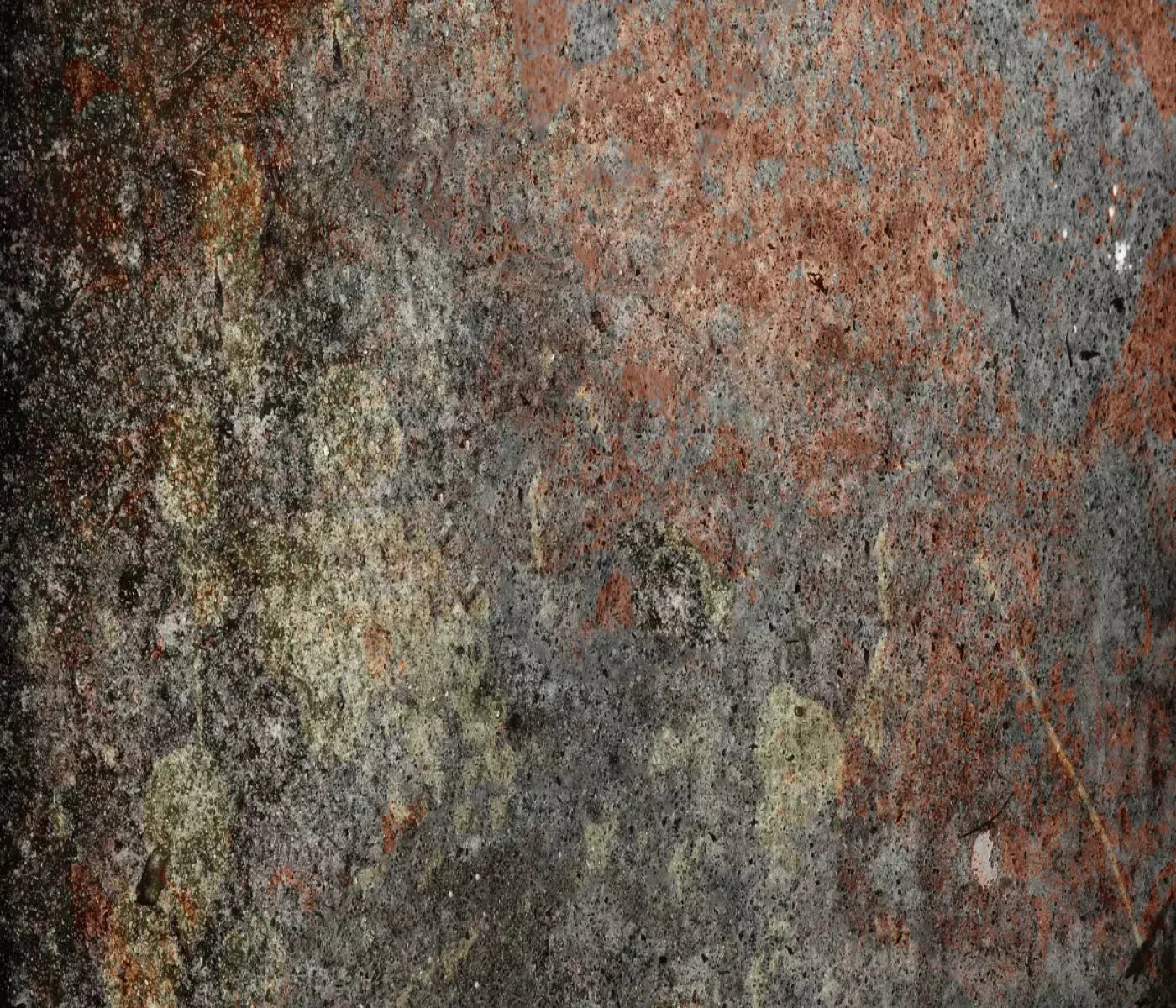 Decrepit 12X10 Ultracloth ( 144 X 120 Inch ) Backdrop