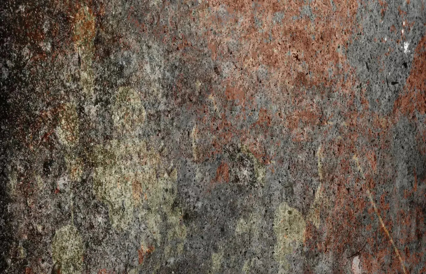 Decrepit 12X8 Ultracloth ( 144 X 96 Inch ) Backdrop