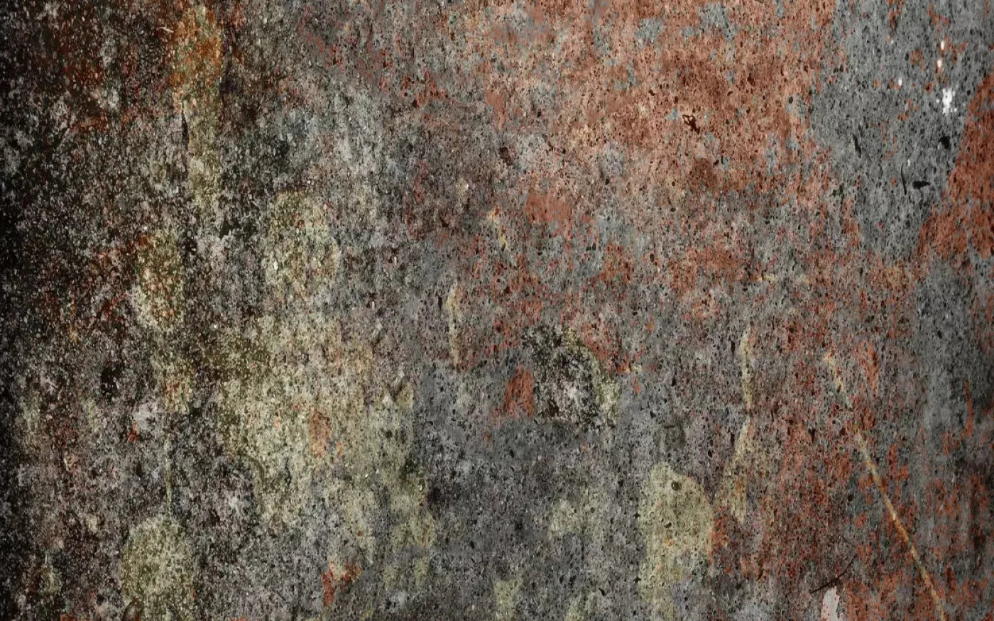 Decrepit 14X9 Ultracloth ( 168 X 108 Inch ) Backdrop