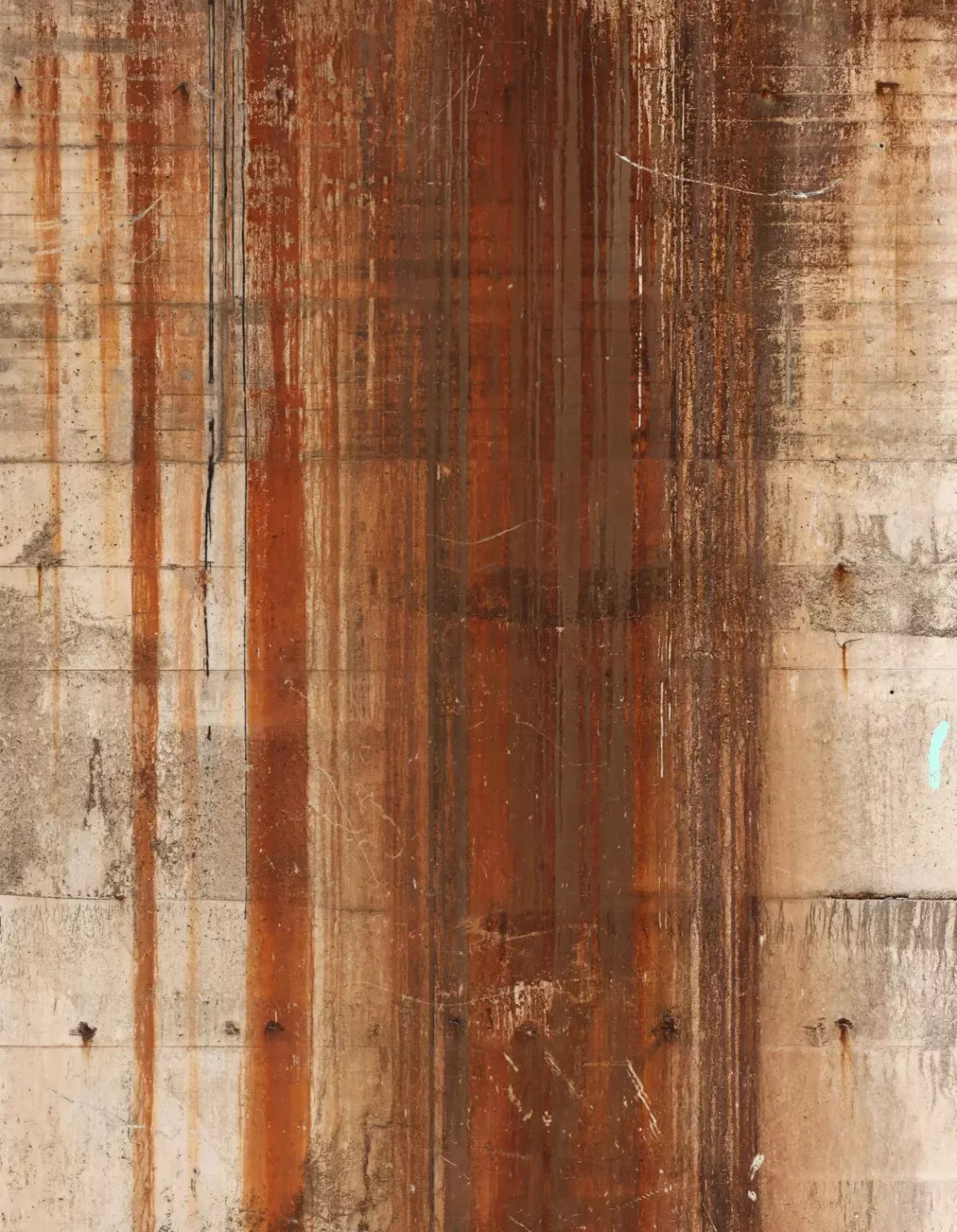 Defeat 6’X8’ Fleece (72 X 96 Inch) Backdrop
