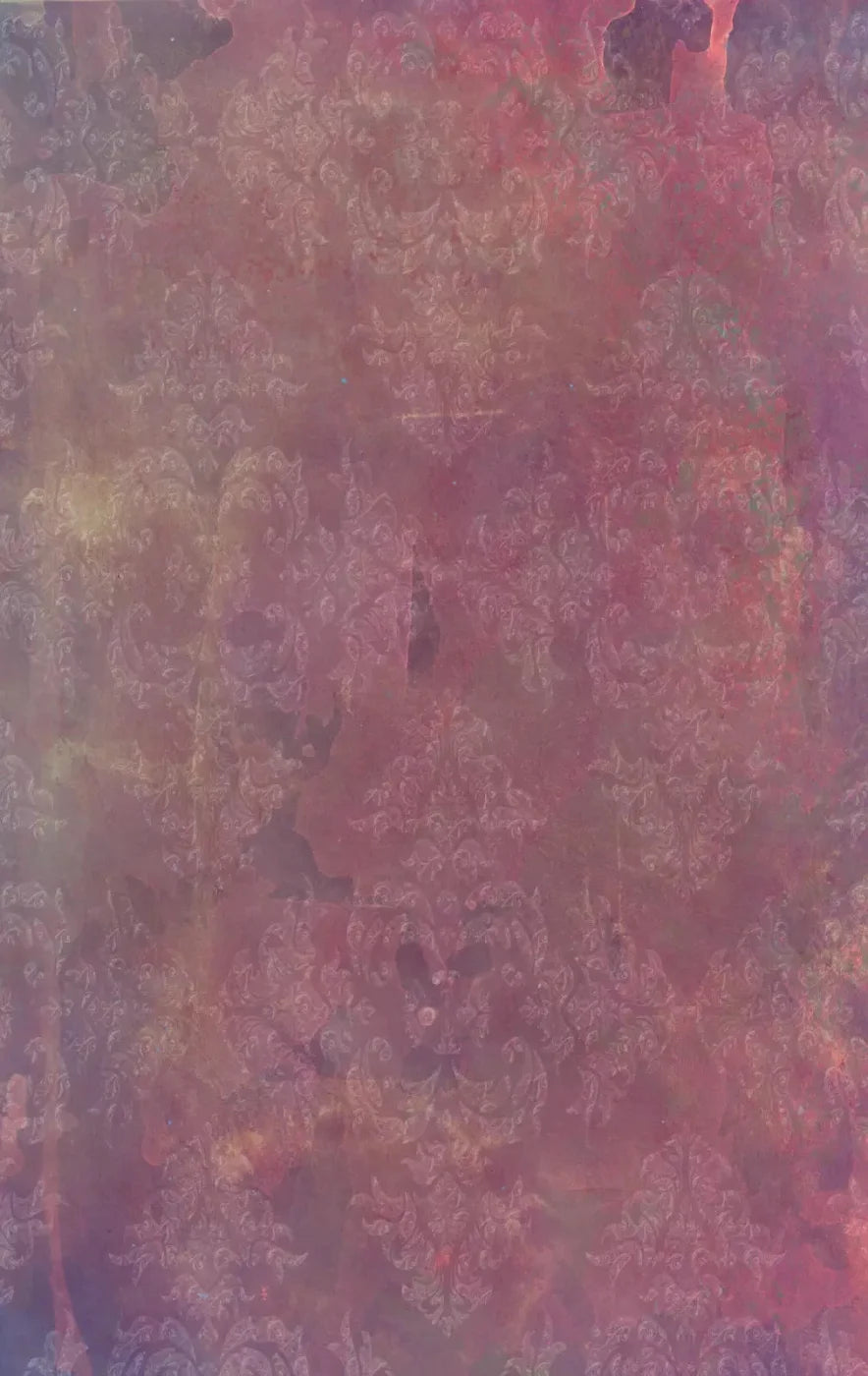 Delaney 10X16 Ultracloth ( 120 X 192 Inch ) Backdrop