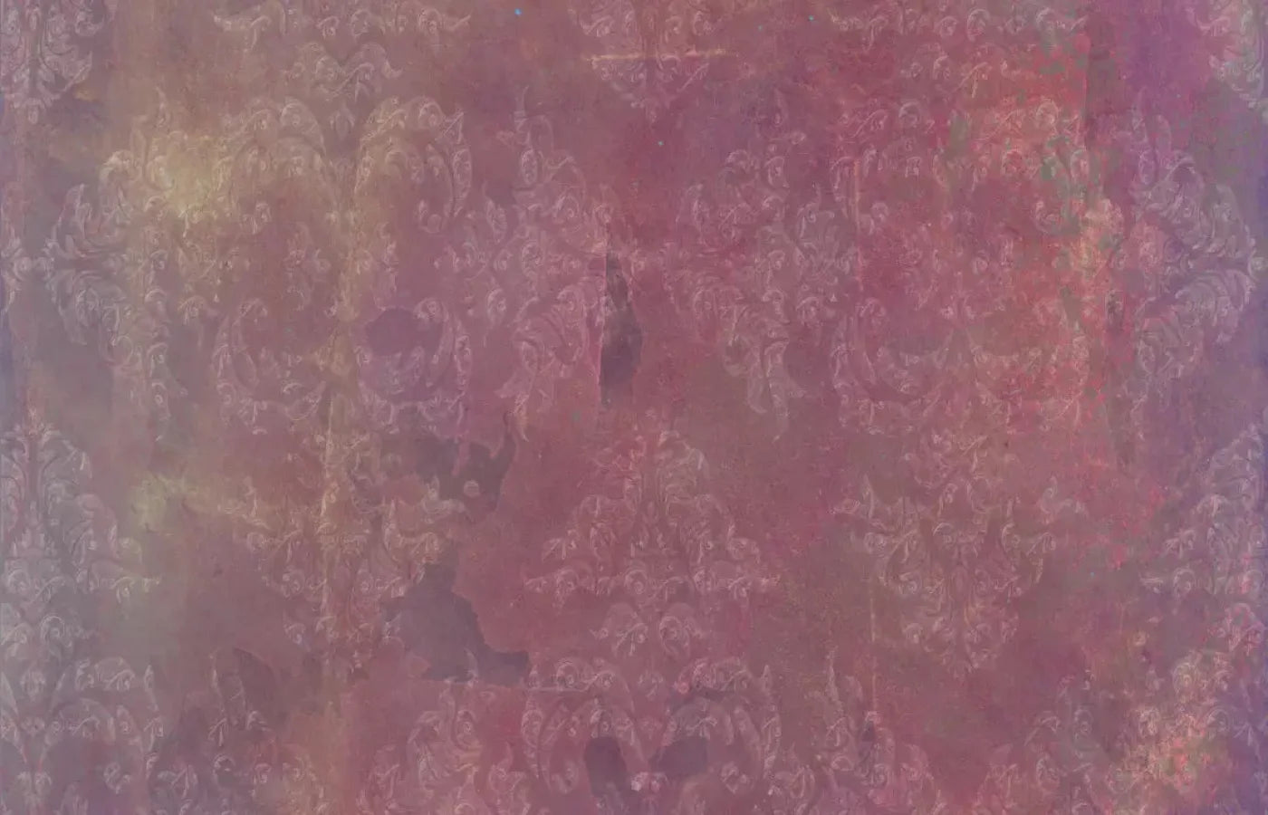 Delaney 12X8 Ultracloth ( 144 X 96 Inch ) Backdrop