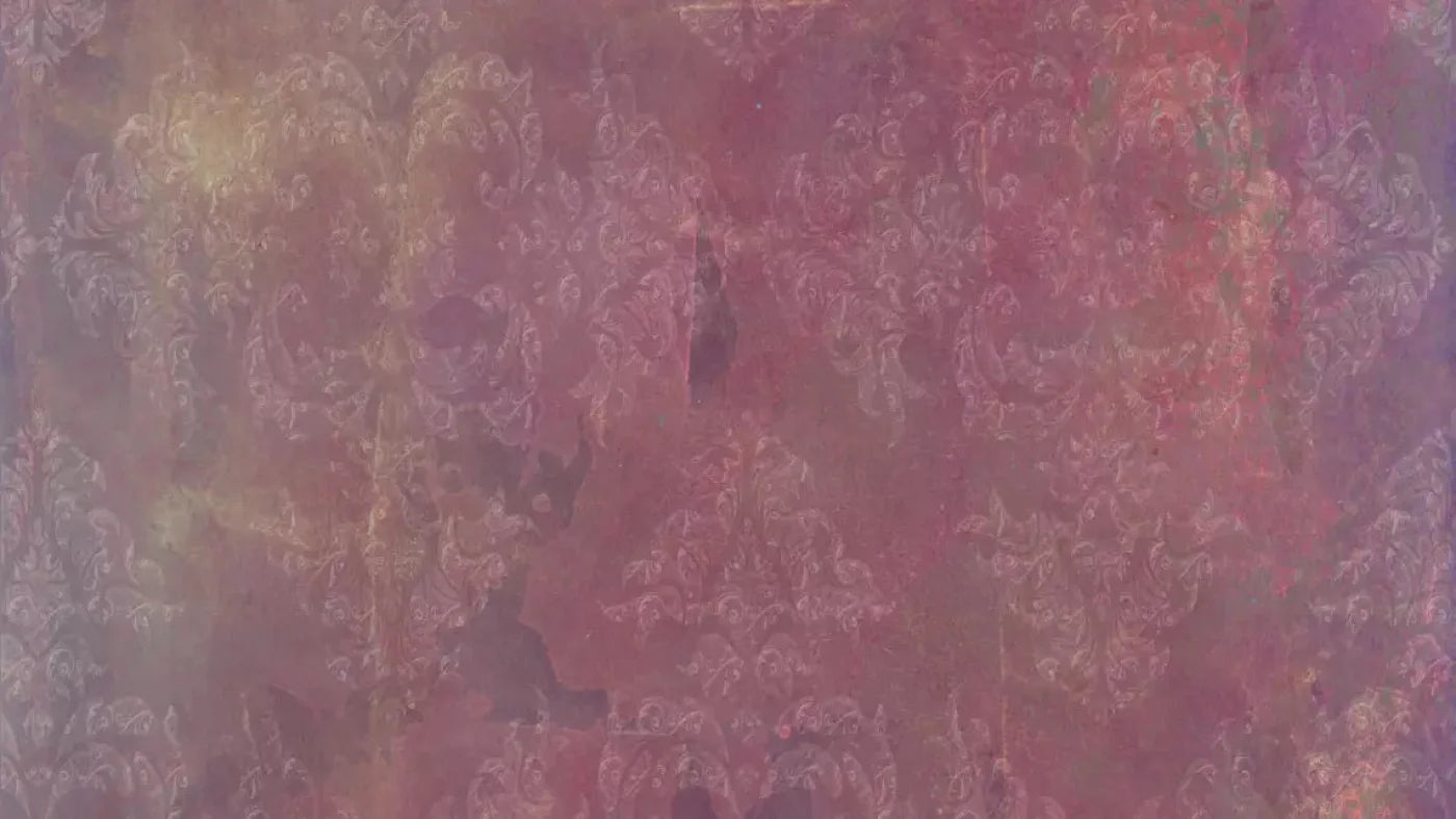 Delaney 14X8 Ultracloth ( 168 X 96 Inch ) Backdrop