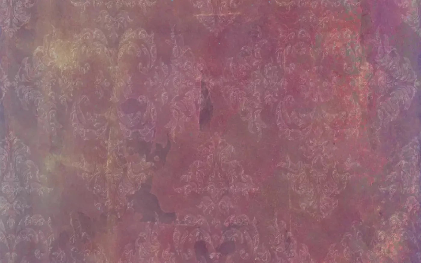 Delaney 14X9 Ultracloth ( 168 X 108 Inch ) Backdrop