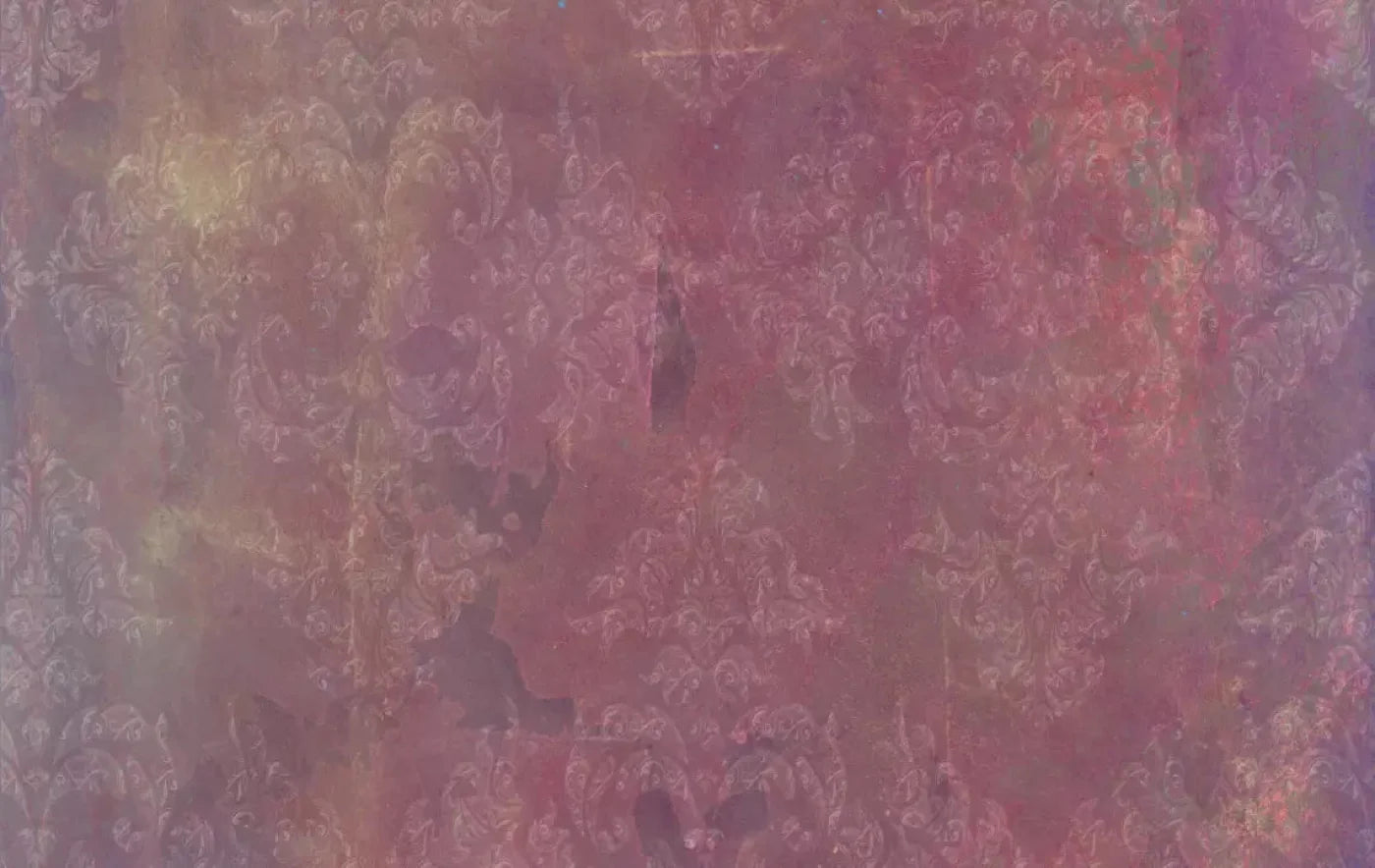 Delaney 16X10 Ultracloth ( 192 X 120 Inch ) Backdrop
