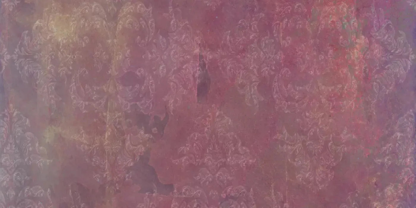 Delaney 20X10 Ultracloth ( 240 X 120 Inch ) Backdrop