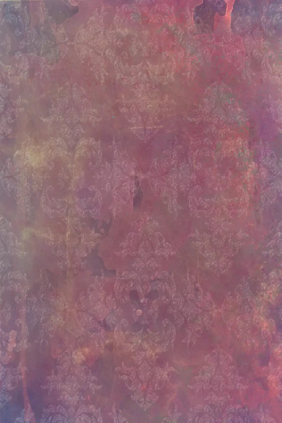 Delaney 5X8 Ultracloth ( 60 X 96 Inch ) Backdrop