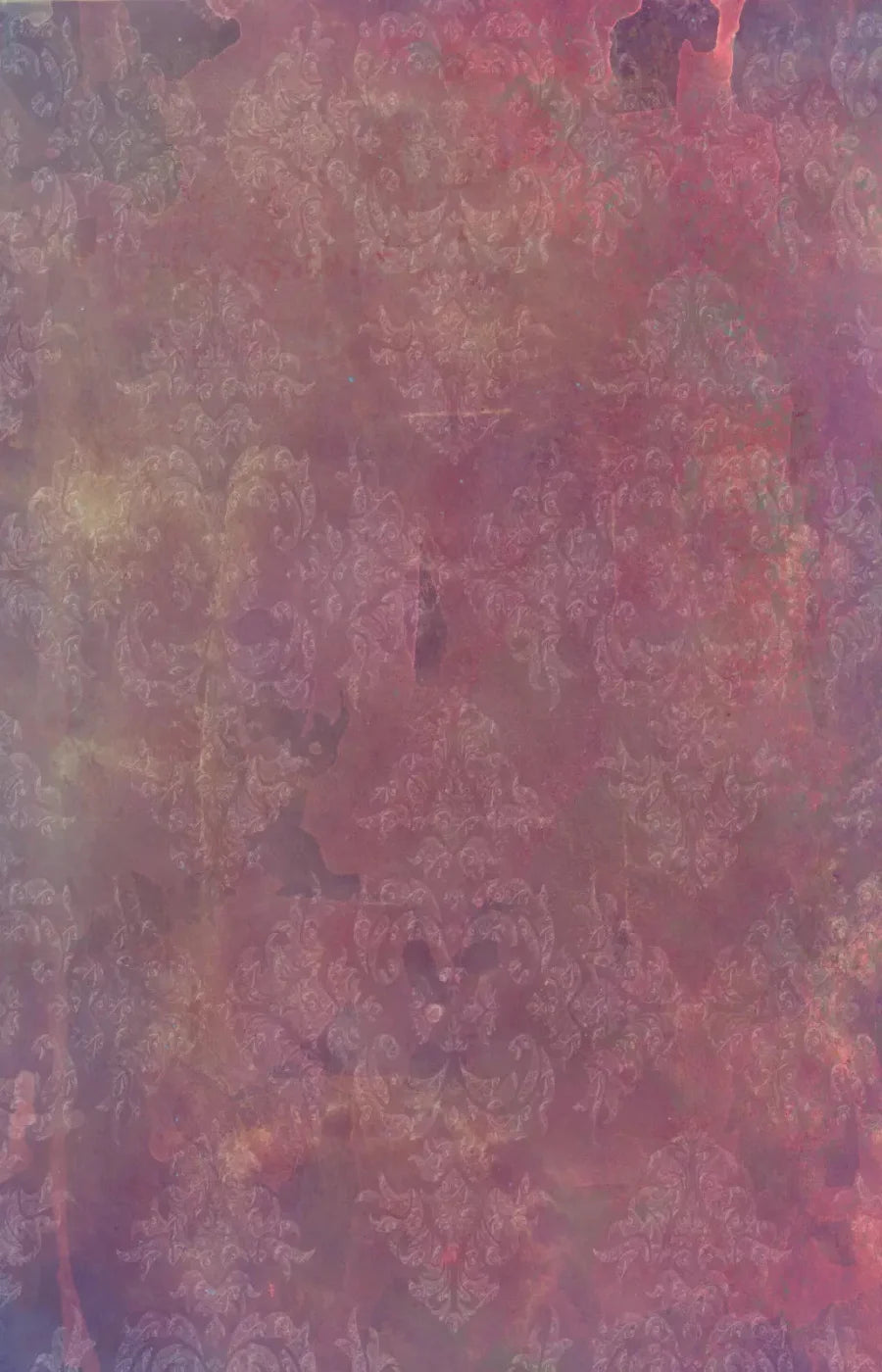 Delaney 8X12 Ultracloth ( 96 X 144 Inch ) Backdrop