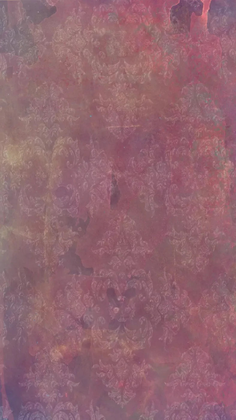 Delaney 8X14 Ultracloth ( 96 X 168 Inch ) Backdrop