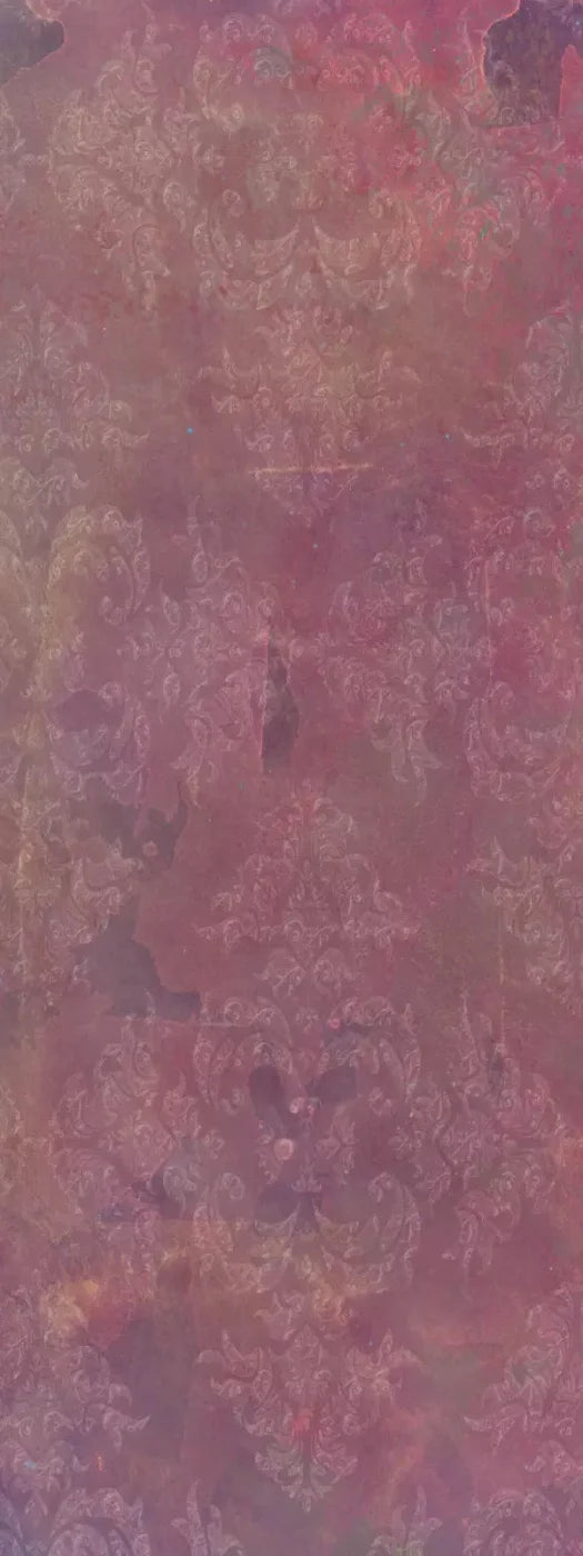 Delaney 8X20 Ultracloth ( 96 X 240 Inch ) Backdrop