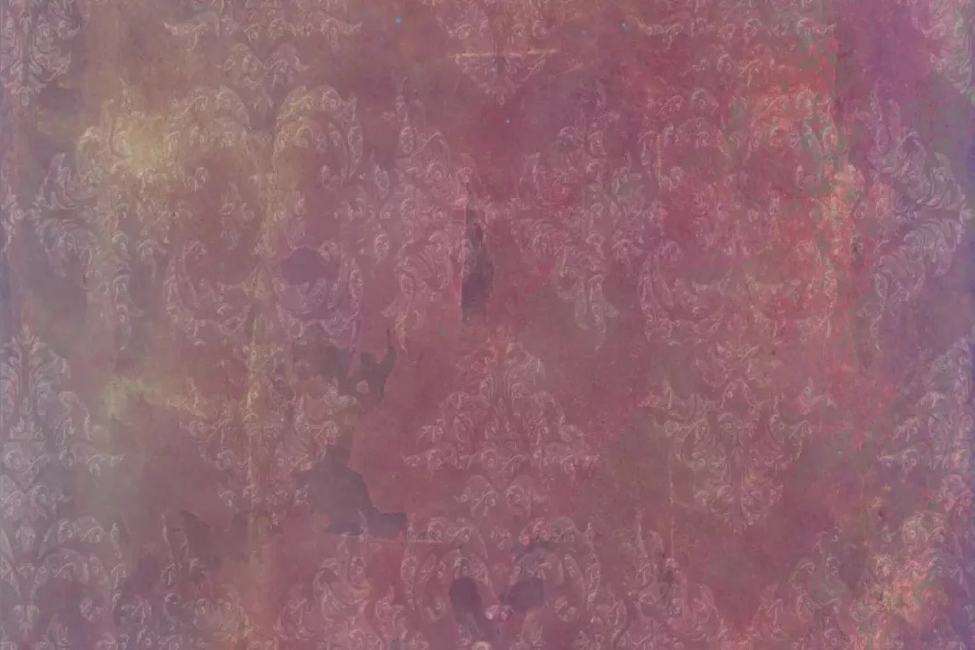 Delaney 8X5 Ultracloth ( 96 X 60 Inch ) Backdrop