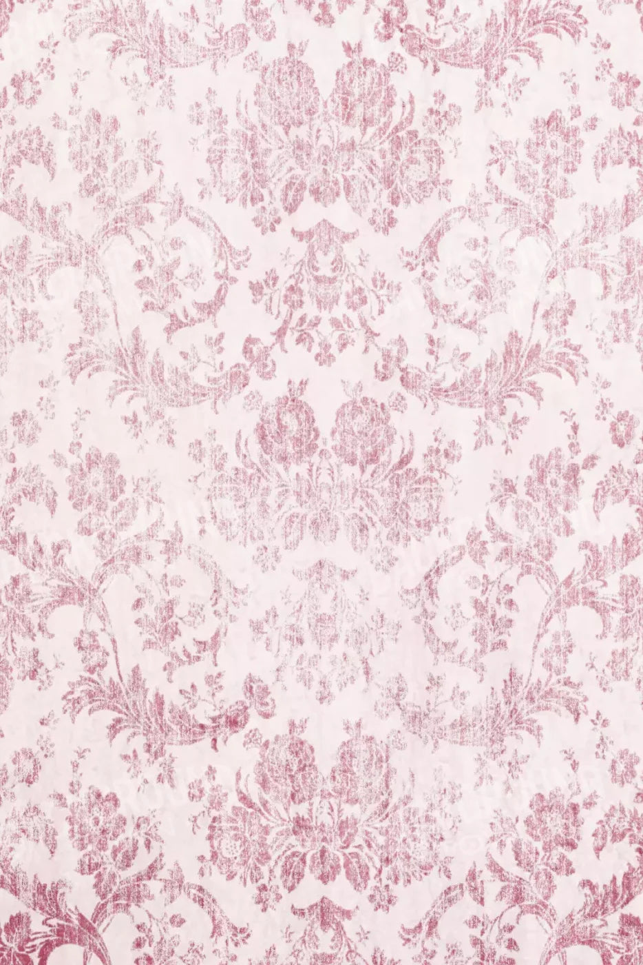 Delia 5X8 Ultracloth ( 60 X 96 Inch ) Backdrop