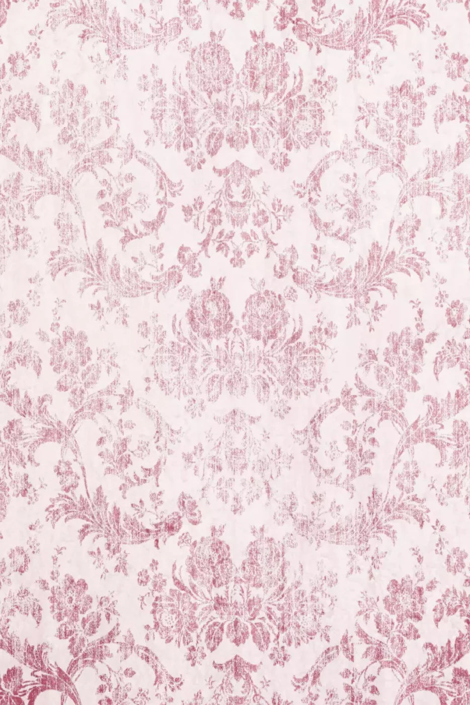 Delia Backdrop