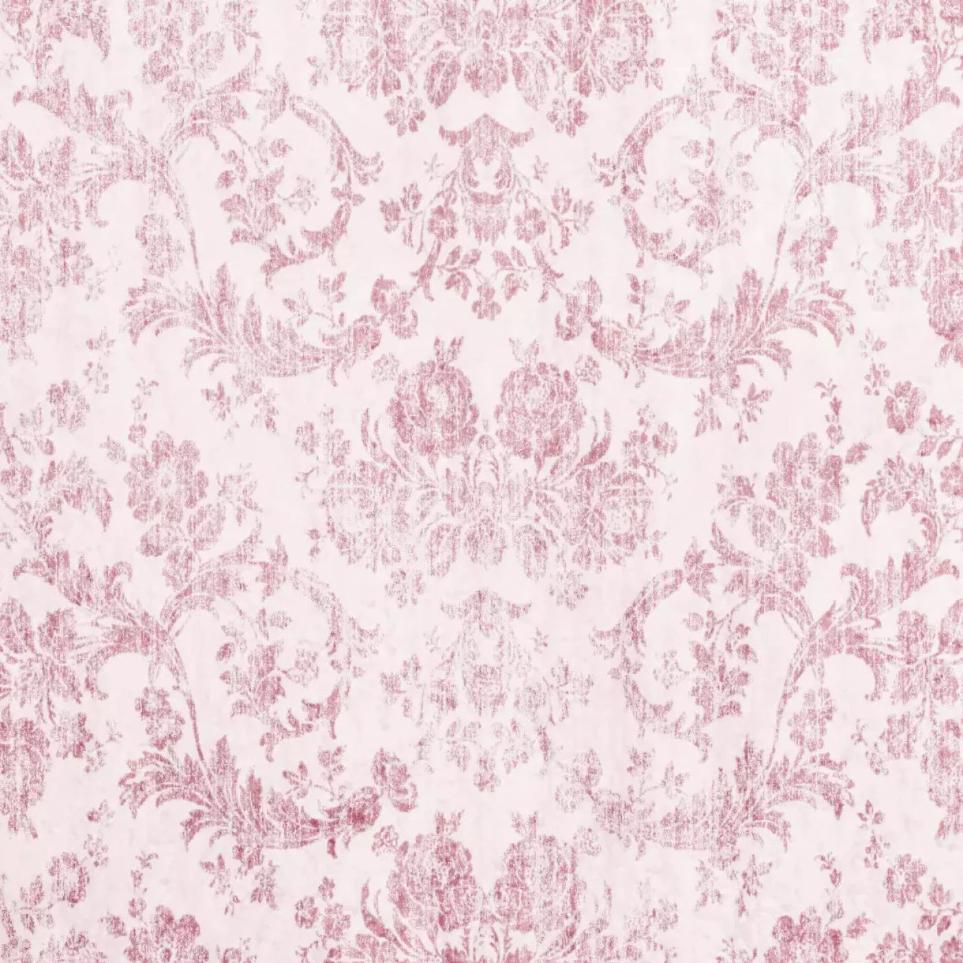 Delia Backdrop