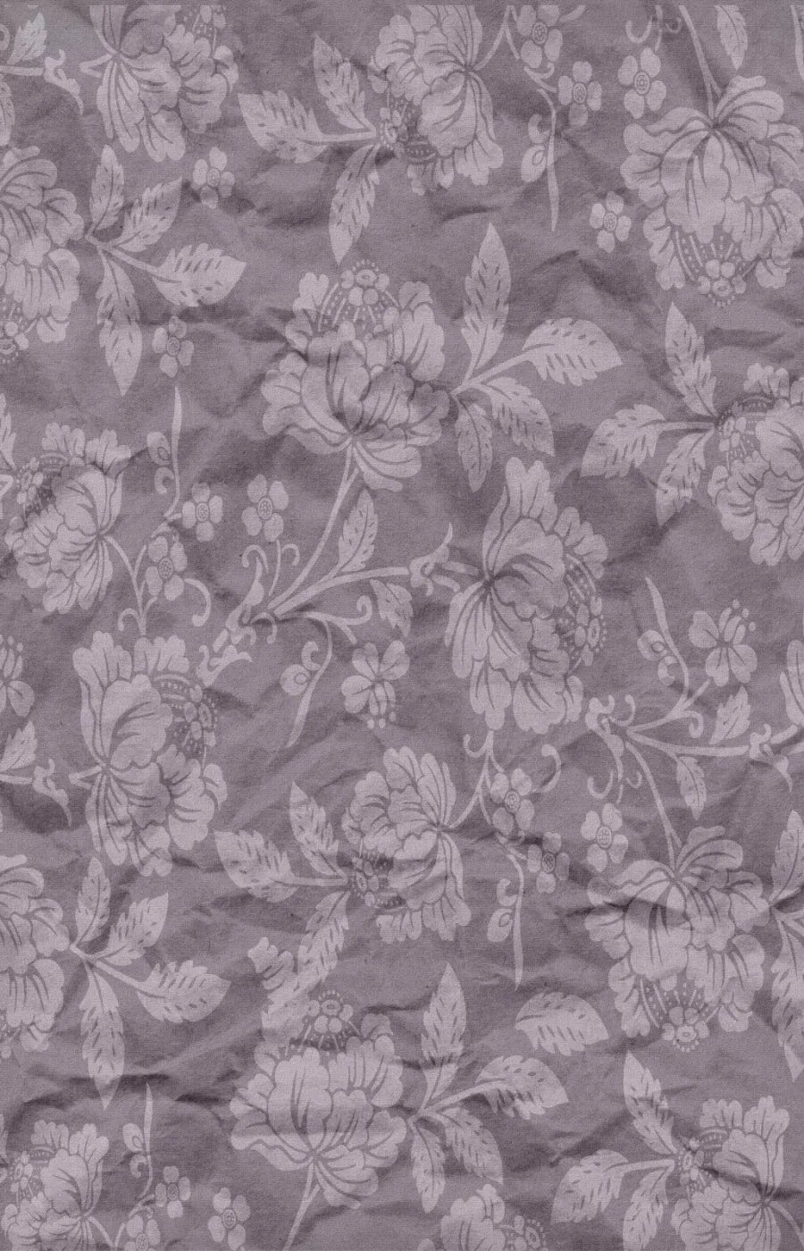 Della 8X12 Ultracloth ( 96 X 144 Inch ) Backdrop