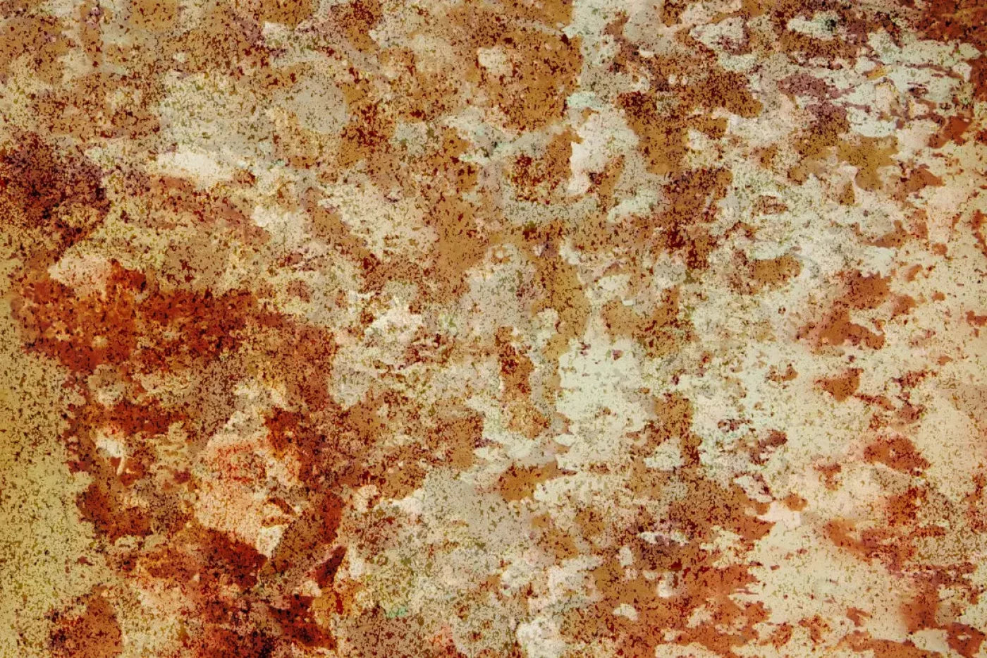Delusion Backdrop