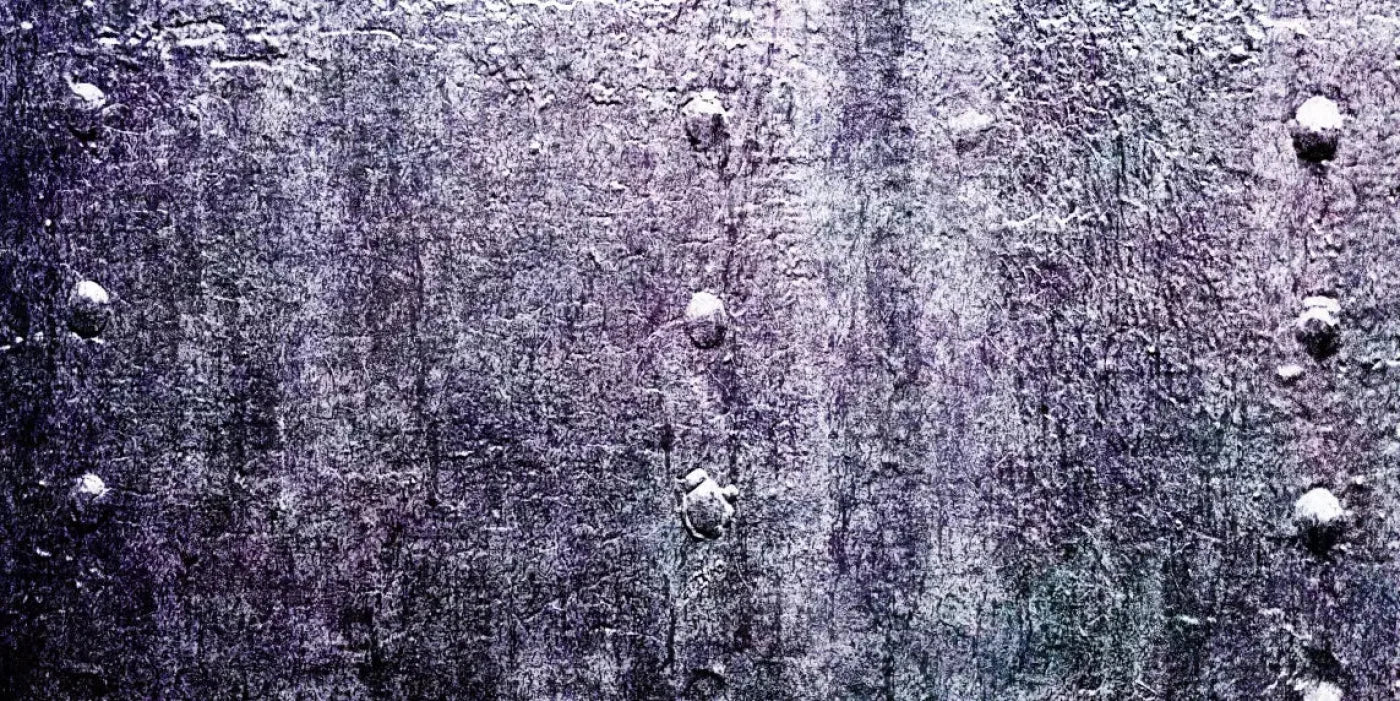 Demand 20X10 Ultracloth ( 240 X 120 Inch ) Backdrop