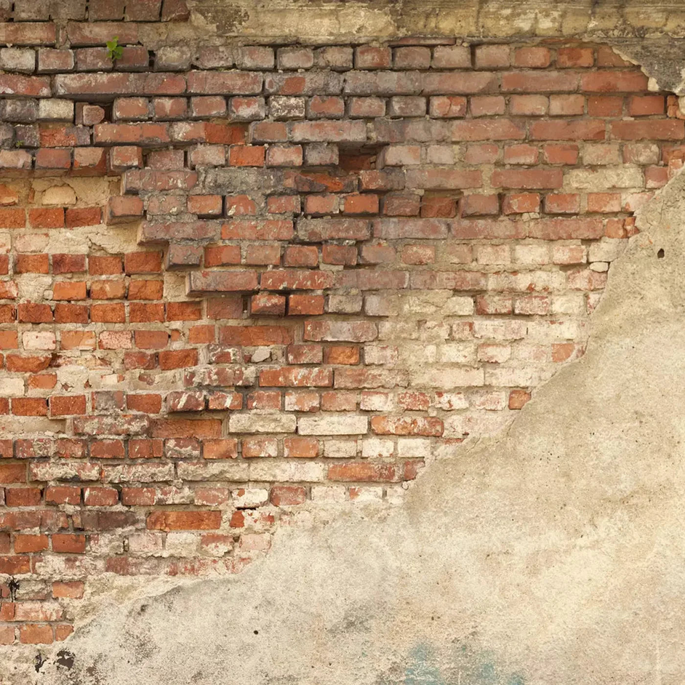 Demolition Backdrop