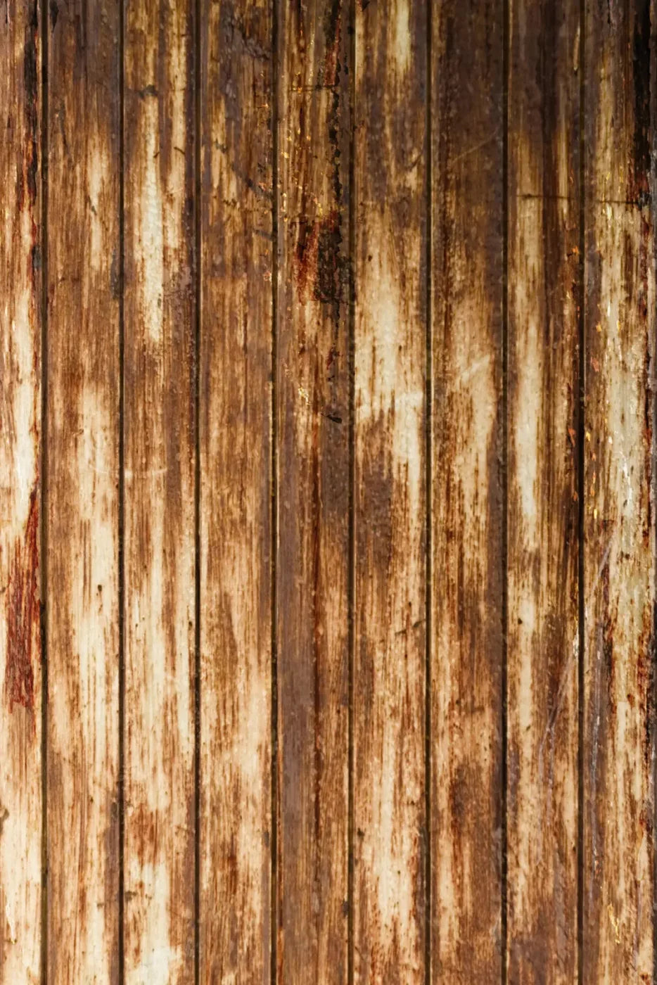 Depict Backdrop