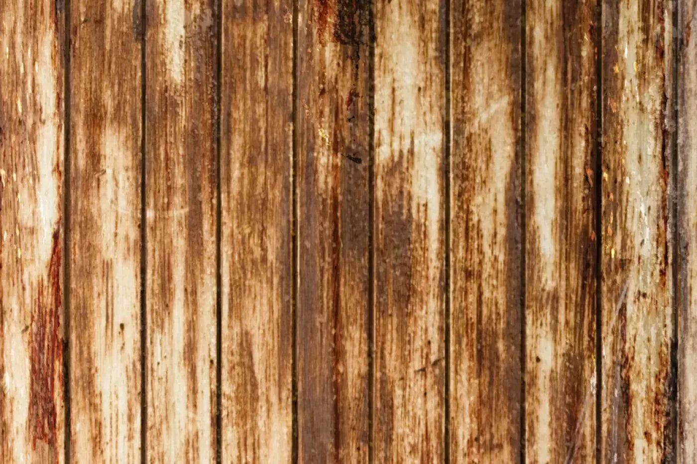 Depict Backdrop