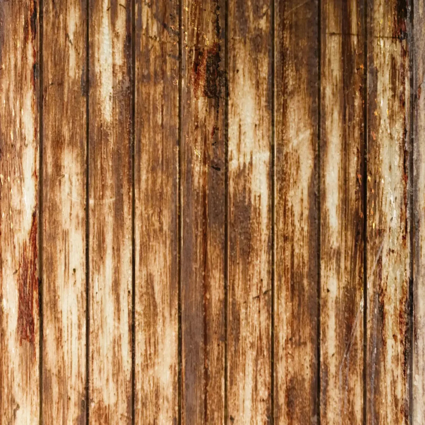 Depict Backdrop