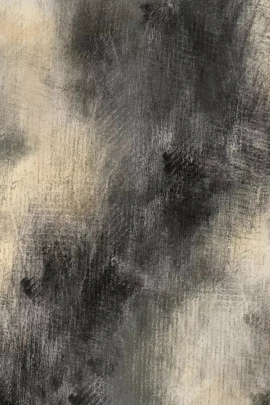 Dignity Backdrop