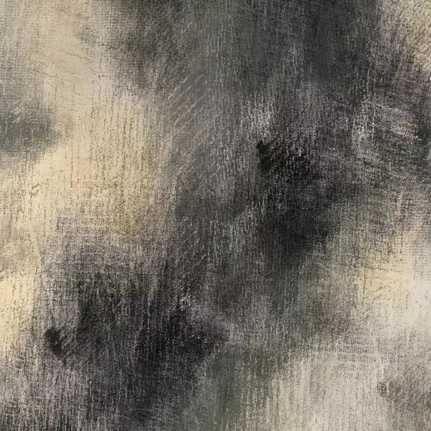 Dignity Backdrop