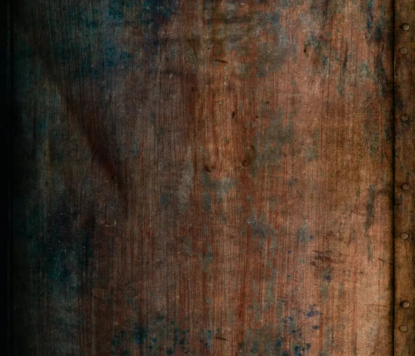 Dilema 12X10 Ultracloth ( 144 X 120 Inch ) Backdrop