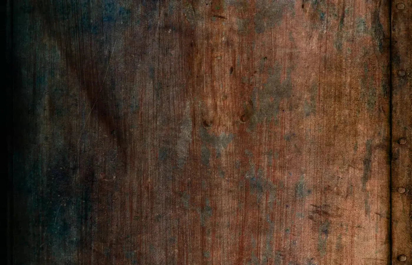 Dilema 12X8 Ultracloth ( 144 X 96 Inch ) Backdrop