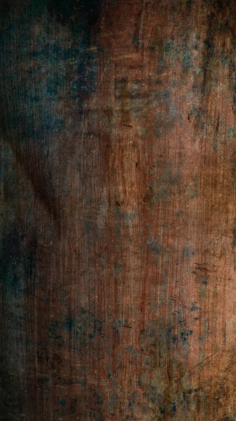 Dilema 8X14 Ultracloth ( 96 X 168 Inch ) Backdrop