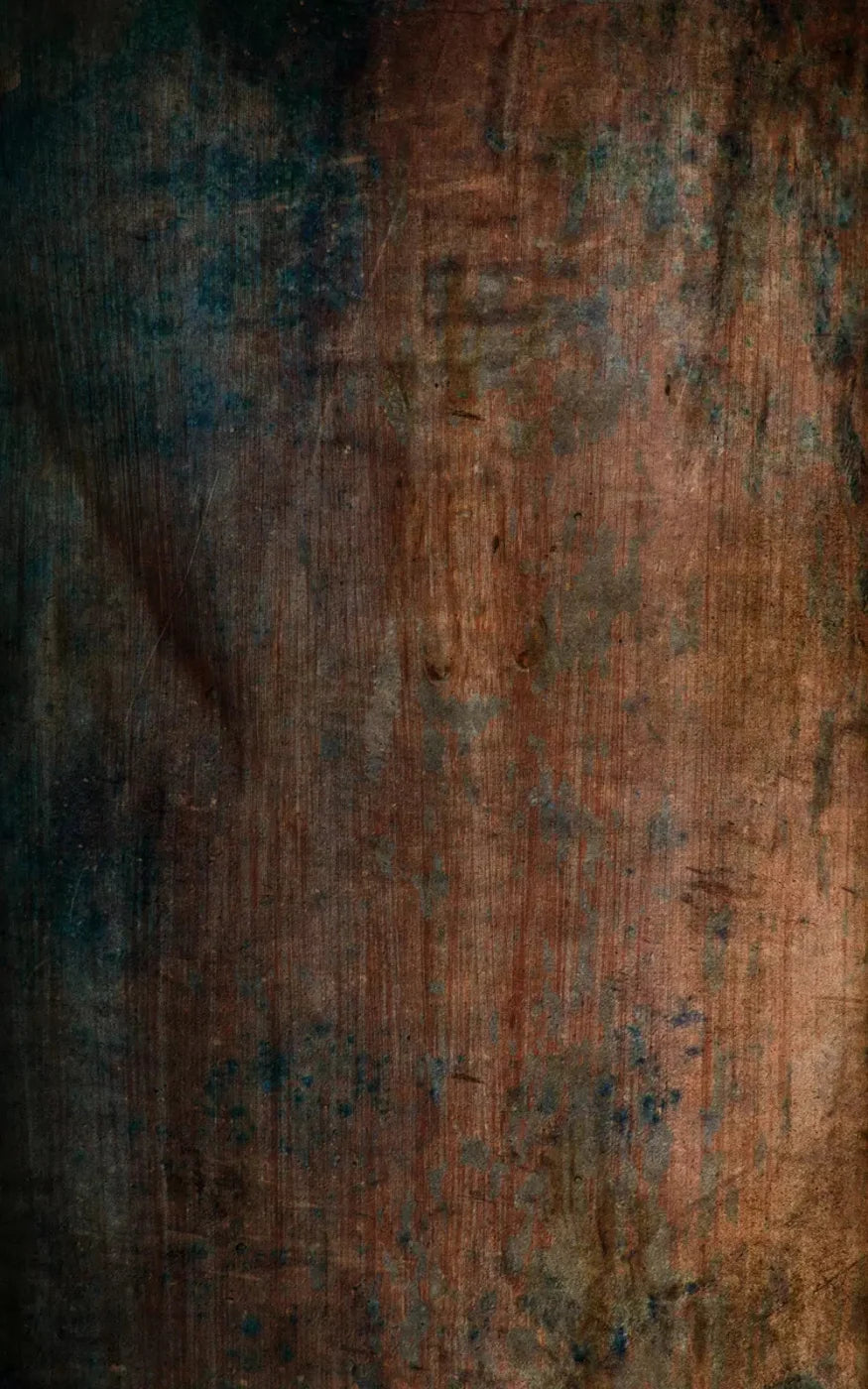 Dilema 9X14 Ultracloth ( 108 X 168 Inch ) Backdrop