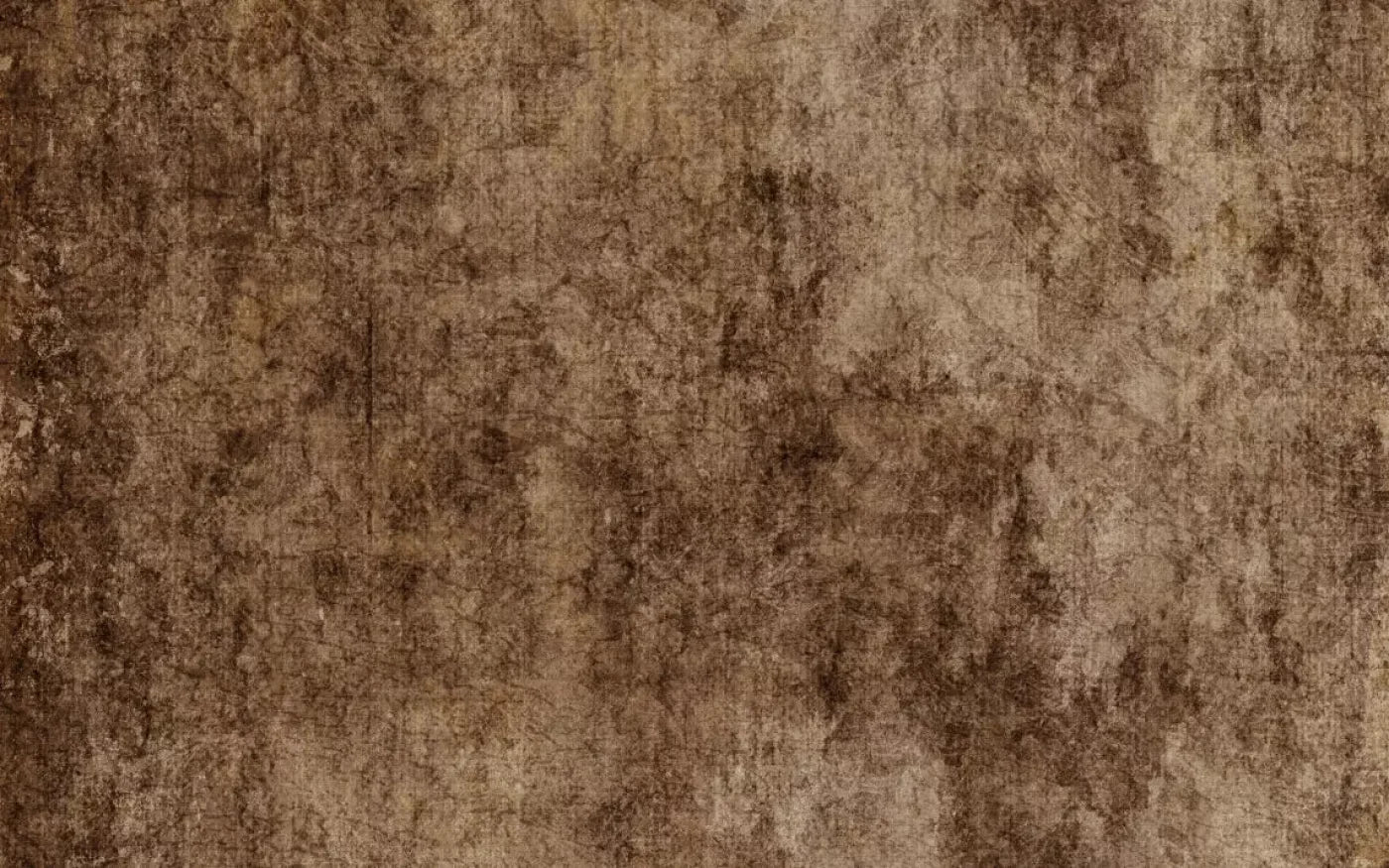 Dingy 14X9 Ultracloth ( 168 X 108 Inch ) Backdrop