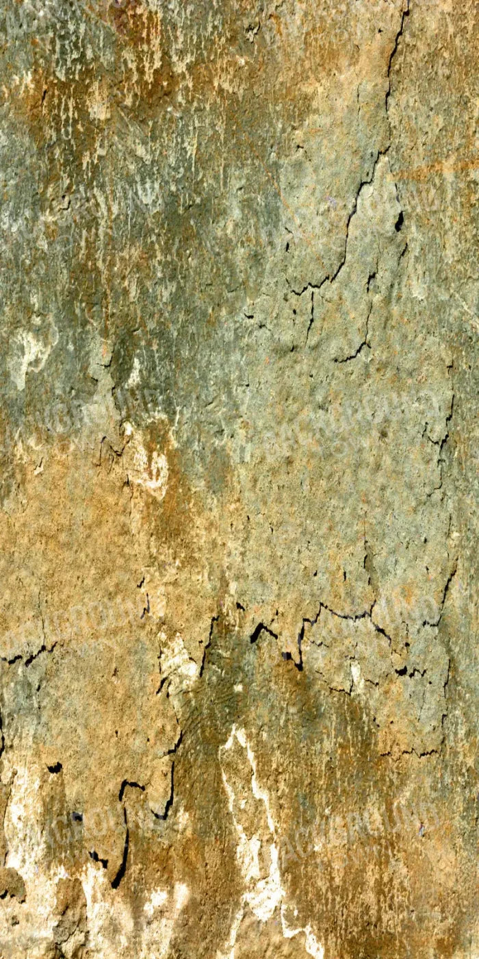 Dispatch 10X20 Ultracloth ( 120 X 240 Inch ) Backdrop